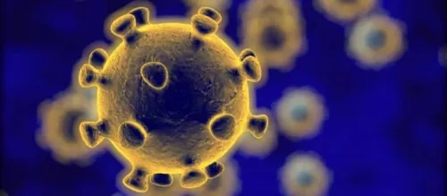 Point sur l'infection au Coronavirus en France et dans le Loir et Cher - Pharmacie de la pyramide - Romorantin (loir et cher 41)