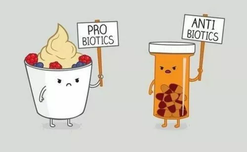 Les Probiotiques, a quoi ça sert ?