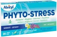 Govital Phyto-stress 28 Gélules à ROMORANTIN-LANTHENAY