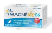 Magnevie B6 100 Mg/10 Mg Comprimés Pelliculés 2plq/60 (120) à ROMORANTIN-LANTHENAY