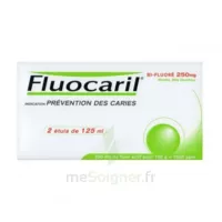 Fluocaril Bi-fluoré 250 Mg Pâte Dentifrice Menthe 2t/125ml à ROMORANTIN-LANTHENAY