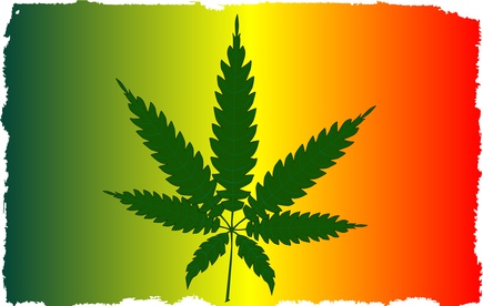 Pharmacie Pyramide - Légalisation du cannabis